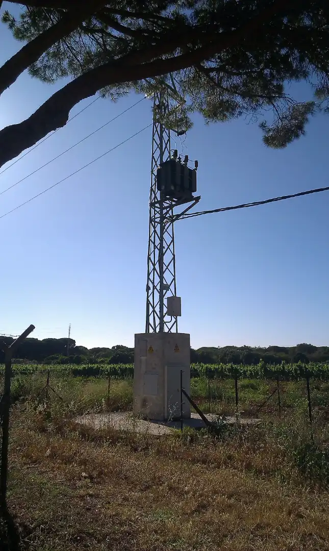Rural land for sale in Carretera Sevilla Utrera