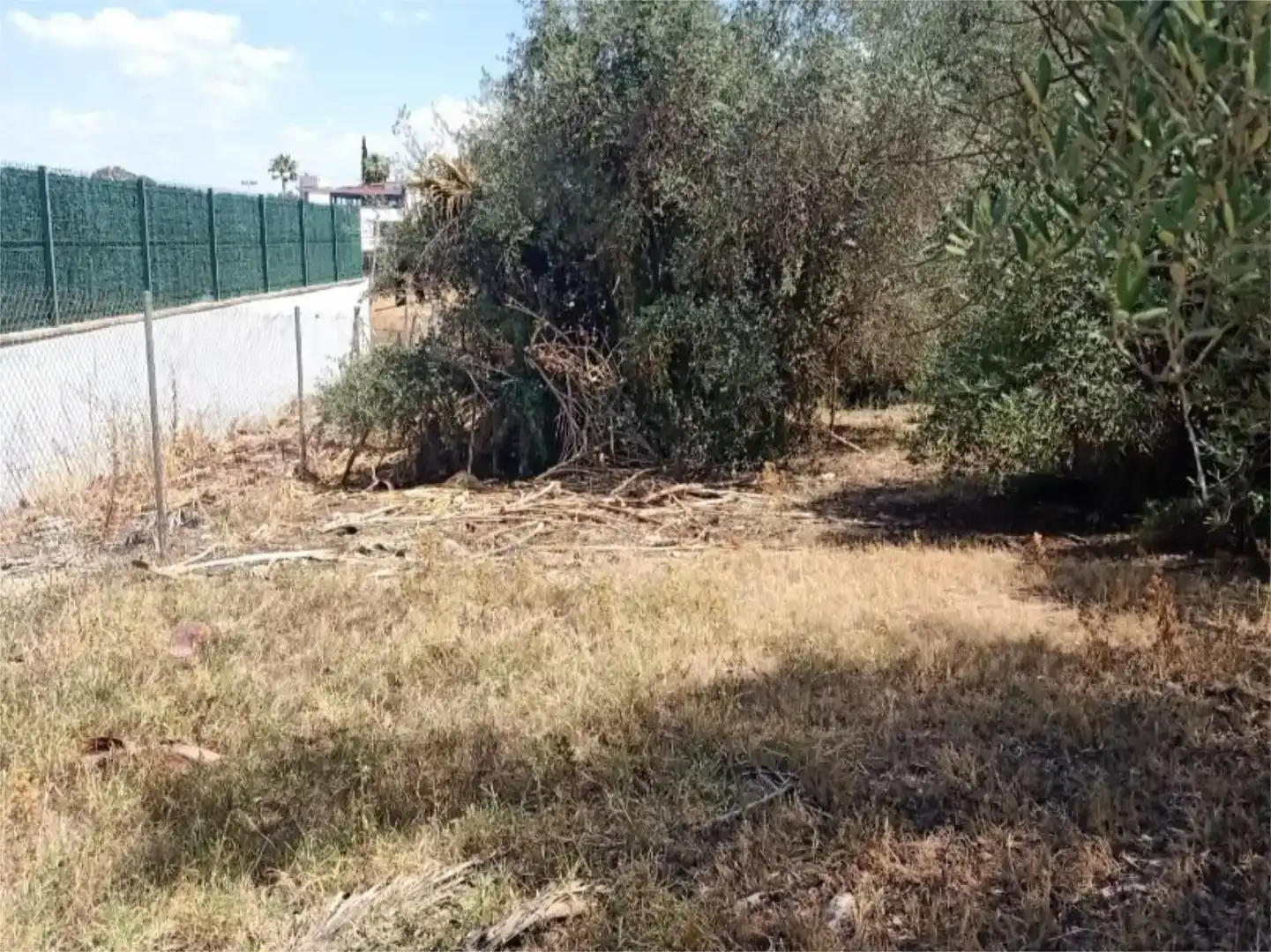 Finca rústica en venda en Gelves