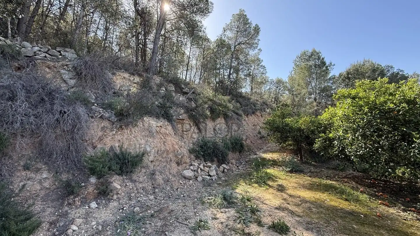 Finca rústica en venta en La Llosa de Ranes con Terraza, Trastero y Piscina