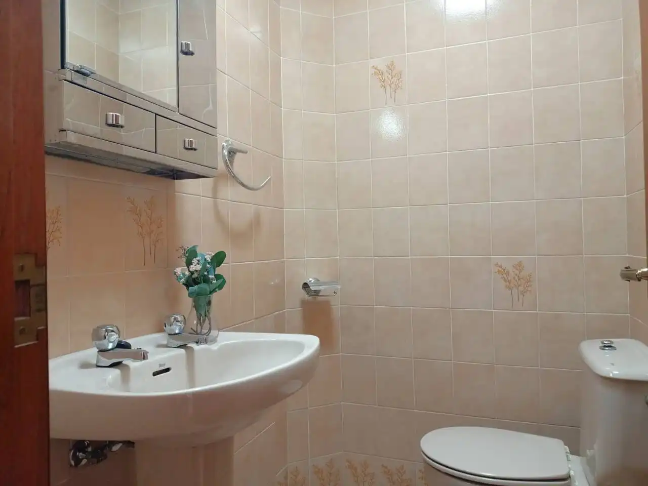 Baño de Piso en venta en Sada (A Coruña)