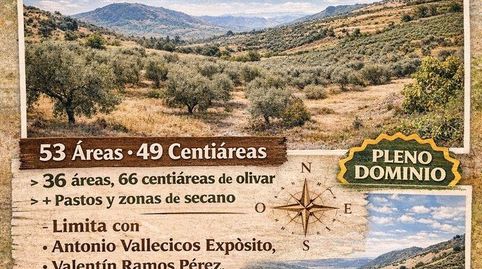 Gran Oportunidad! Terreno de 5300 m2 por solo 21,000 euros  52.78 en Pleno Dominio!, immagine 2