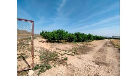 Foto 5 von Residential zum Verkauf in N/a, -1, Alhama de Murcia ciudad, Alhama de Murcia