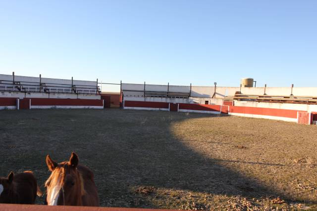 Nave industrial en Venta en Calle Carpio en Nueva Villa de las Torres