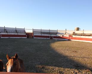 Exterior view of Industrial buildings for sale in Nueva Villa de las Torres