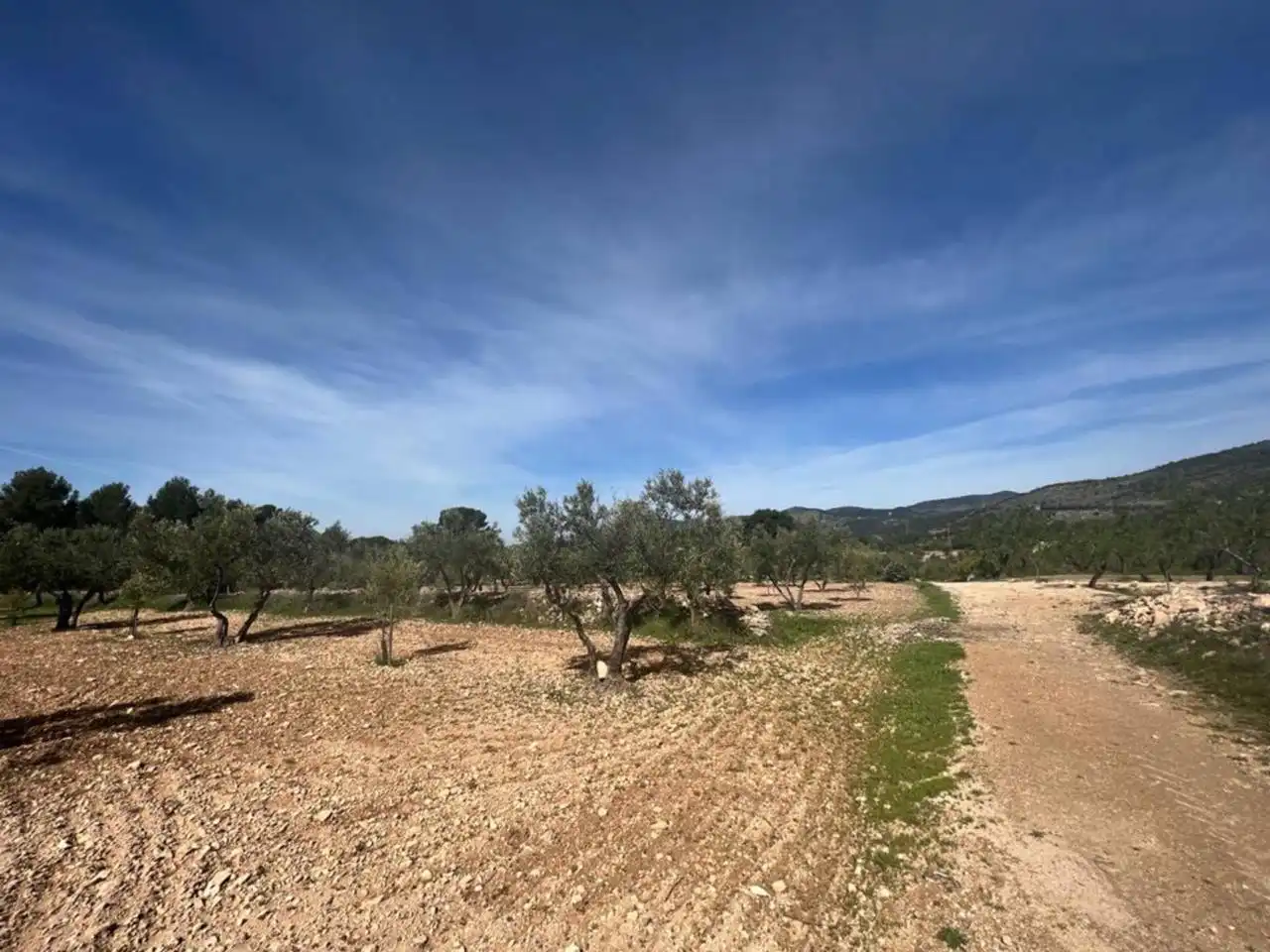 Chalet con jardín en venta en Calle Poligono, imagen 77