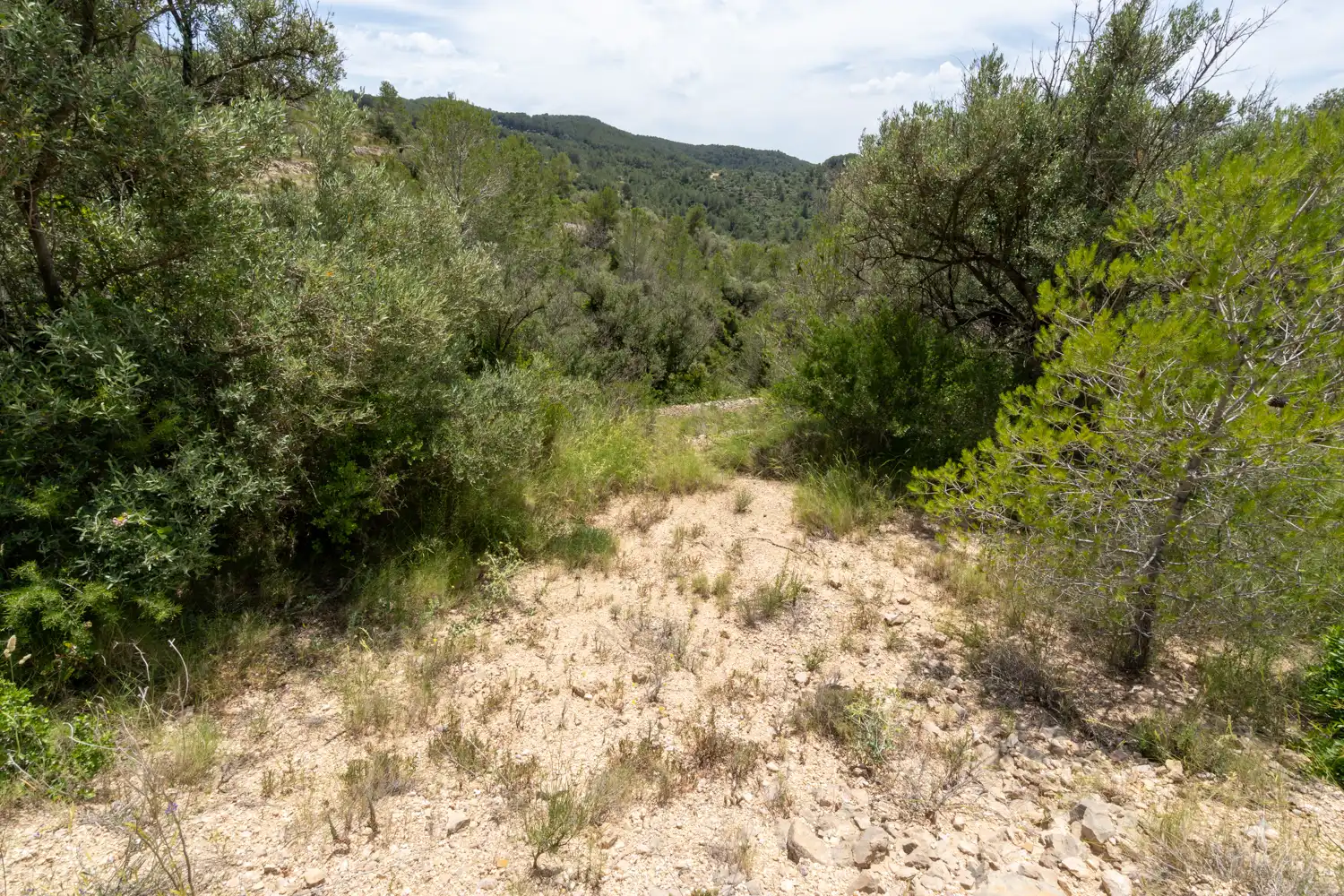 Terrain rustique à vendre à Camí dels Corrals de la Riba 9, imagen 9