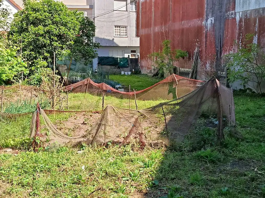 Wohnbaugrundstück zum Verkauf in Rúa Pintor Laxeiro, imagen 5