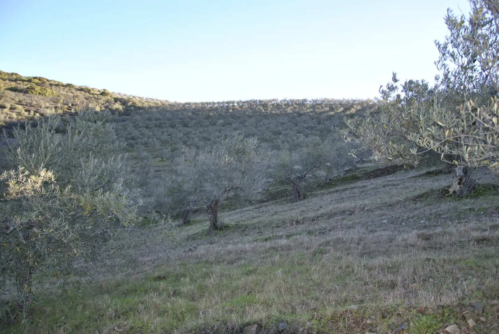 Terreno en venta en La Pesga 