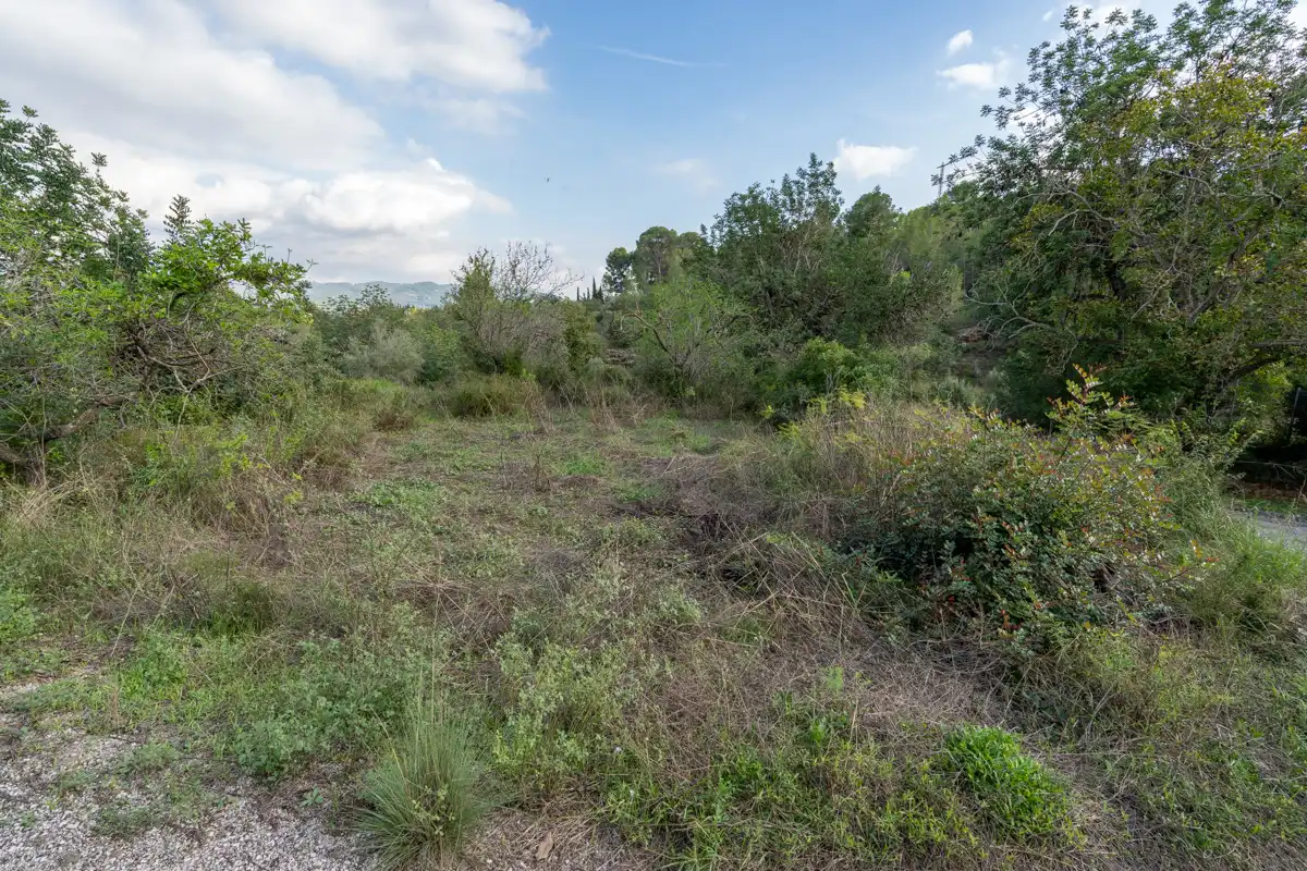 Terreno rustico in vendita a Camí Vell del Cementiri 1, imagen 3