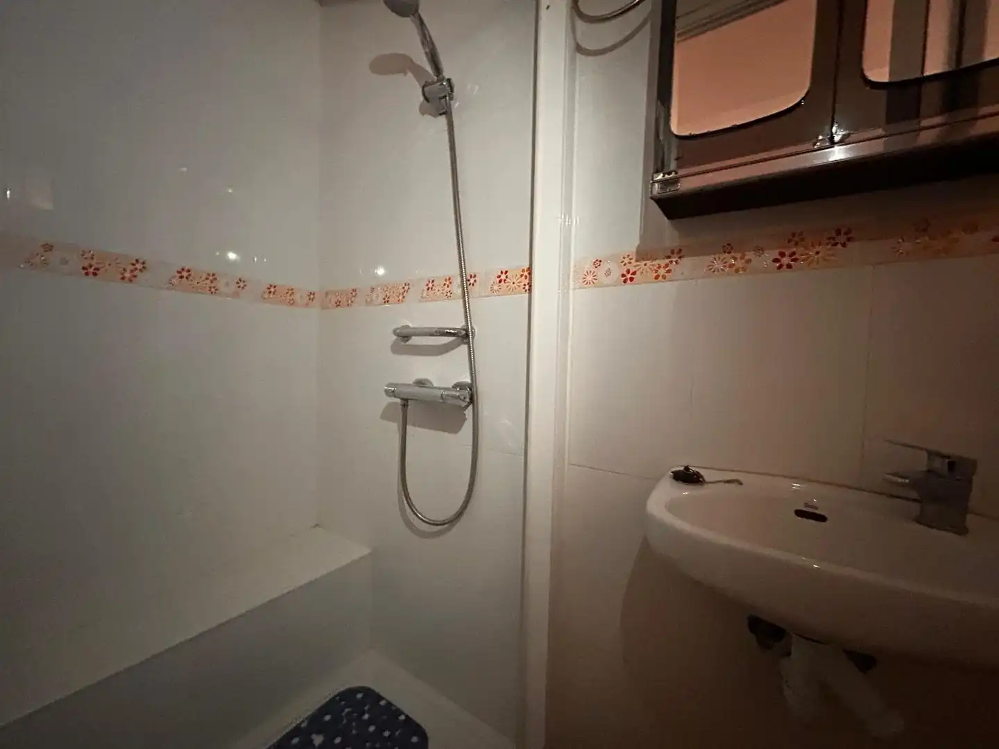 Bathroom of Country homes for sale in Benamargosa  with Storage room