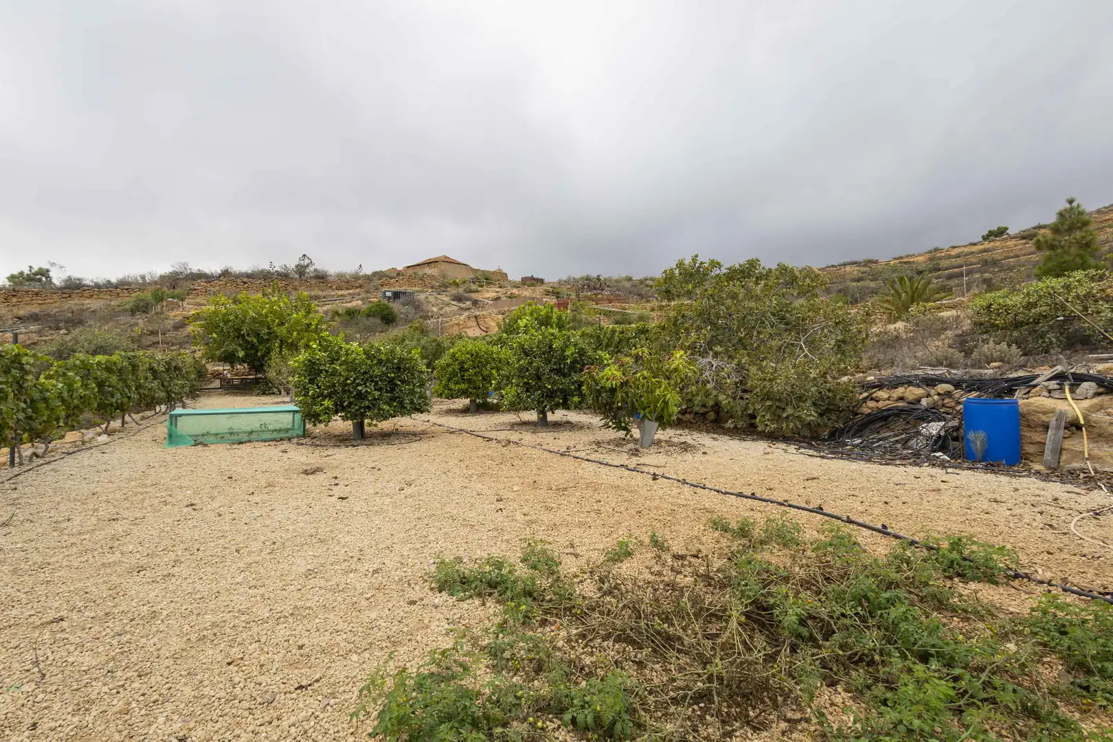 Terreno rustico in vendita a Calle San Bartolomé, imagen 16