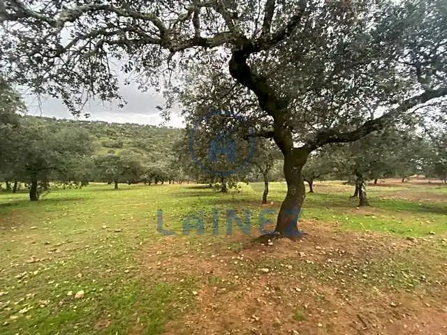 Residential land for sale in Fuente Obejuna, imagen 13
