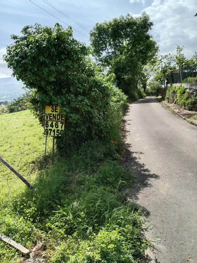 Residential for sale in Piloña