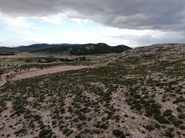 Terreny rústic en venda a Cañada