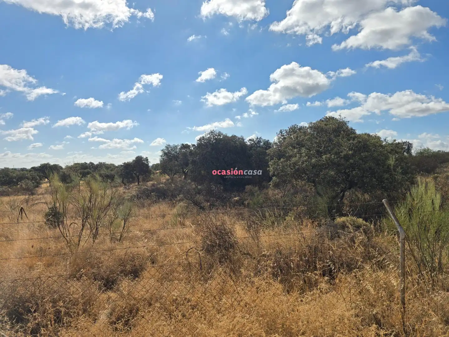 Casa o xalet en venda en Alcaracejos amb Traster i Piscina