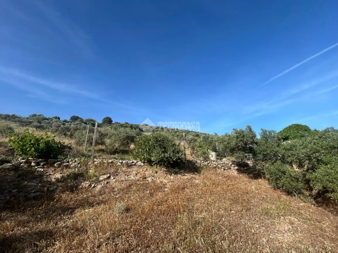 Finca rústica en venta en Antequera