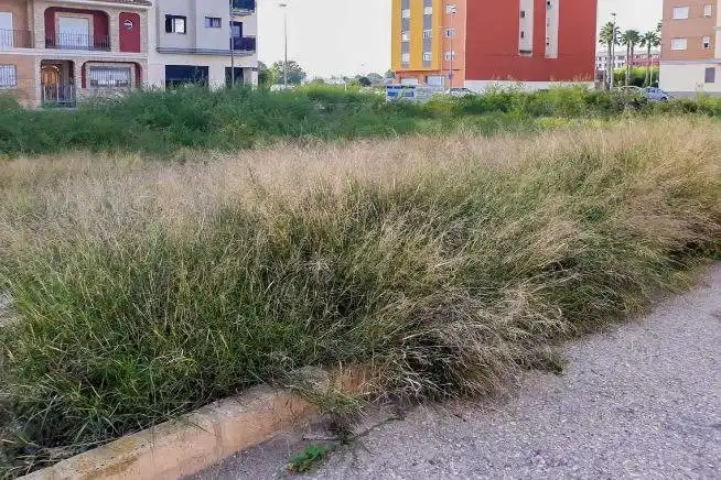 Terreni e lotti in vendita a Calle SANT JAUME, imagen 4
