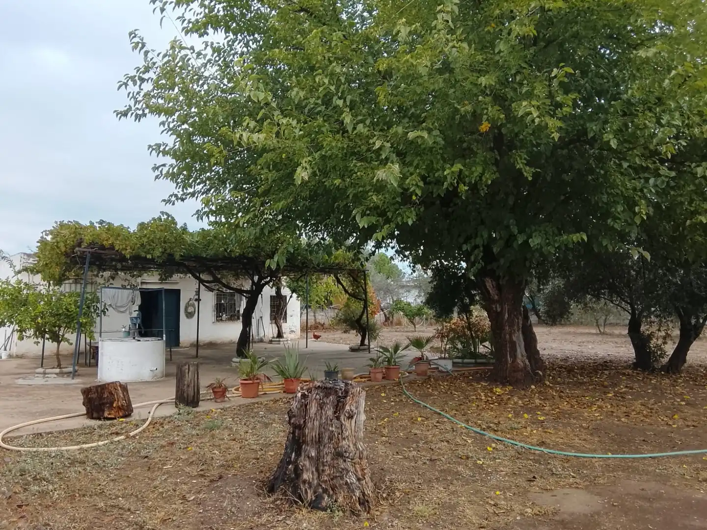 Jardí de Finca rústica en venda en Córdoba amb Aire condicionat, Calefacció i Jardí privat