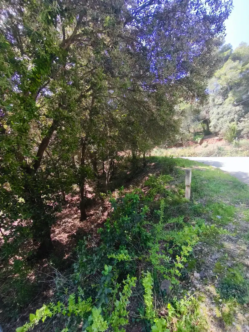 Terrain résidentiel à vendre à Carrer de la Font del Querol 19, imagen 14