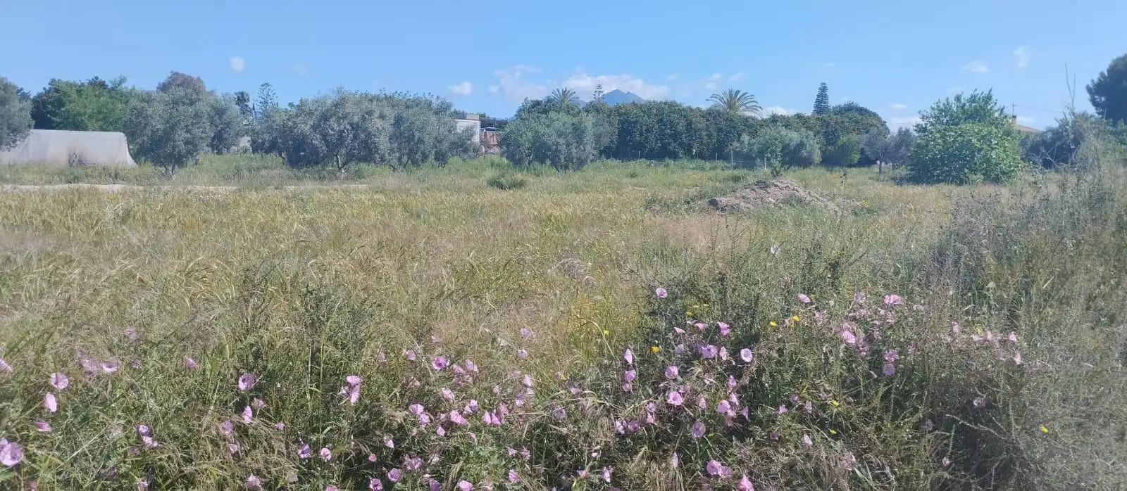 Terreno rustico in vendita a La Huerta, imagen 35