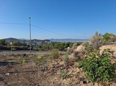 Terreno residenziale in vendita a Calle de los Pinos