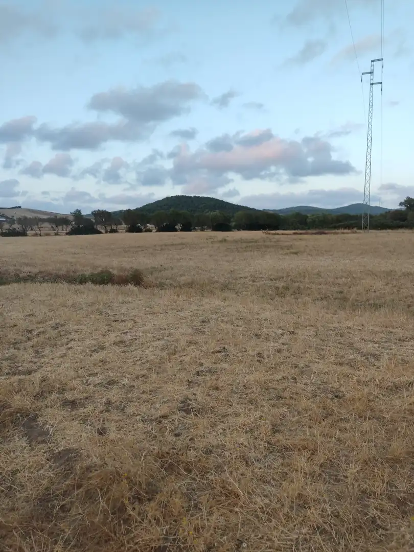 Land for sale in Vejer de la Frontera