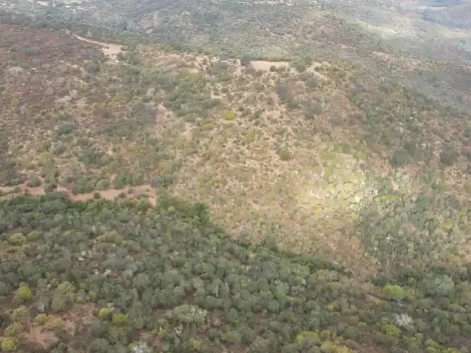 Terreno en venta en Zalamea la Real