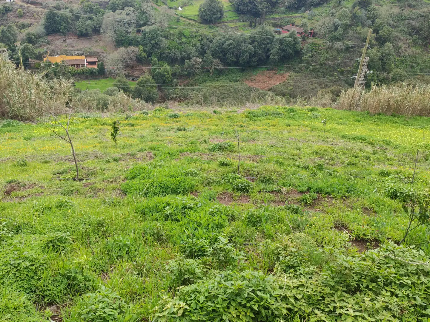 Finca rústica en venta en Santa María de Guía de Gran Canaria con Amueblado