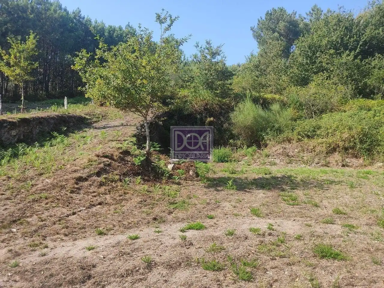 Lands and plots for sale in Mondariz, imagen 8