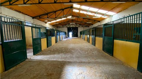 FINCA ECUESTRE DE 23 HA CON INSTALACIONES PROFESIONALES Y AGUA ABUNDANTE EN CÁCERES, immagine 4