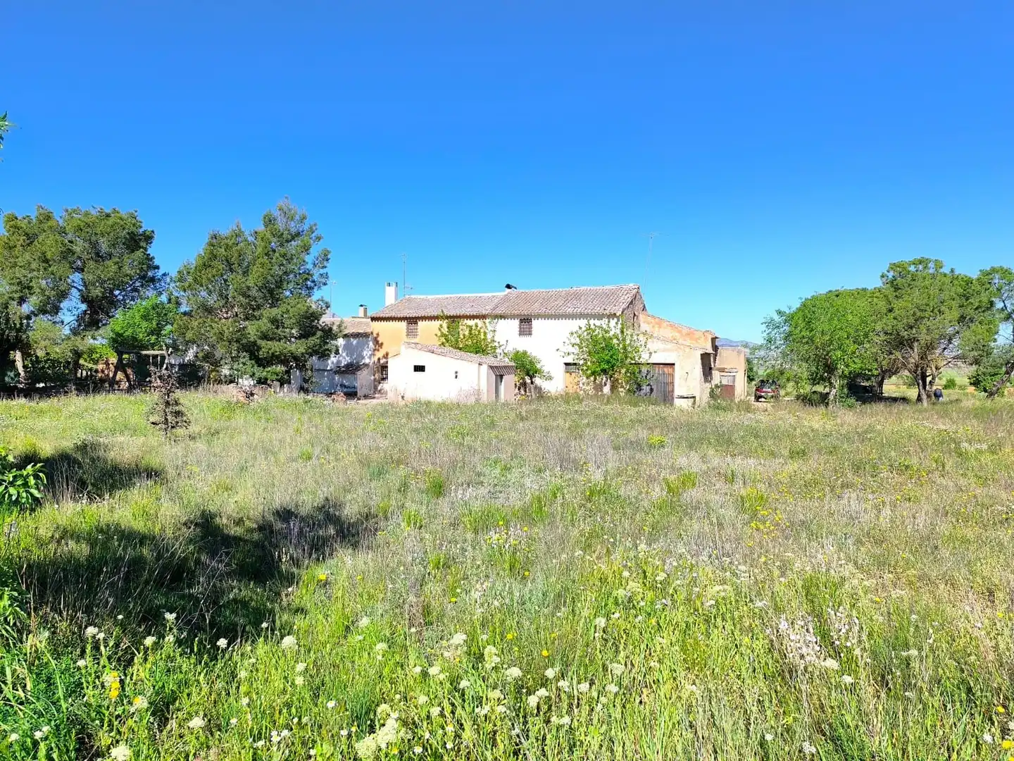 Maison rustique à vendre à Yecla