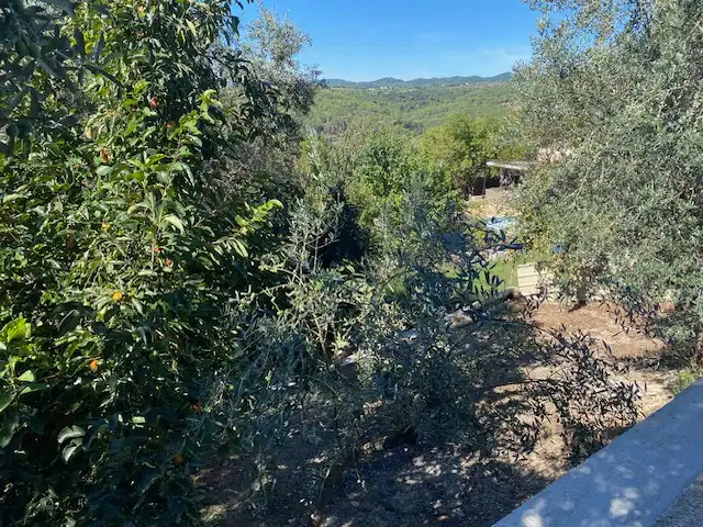 Casa o xalet en venda a Els Hostalets de Pierola