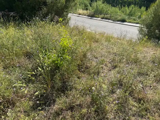 Residential land for sale in Carrer Barcelona 42, imagen 3