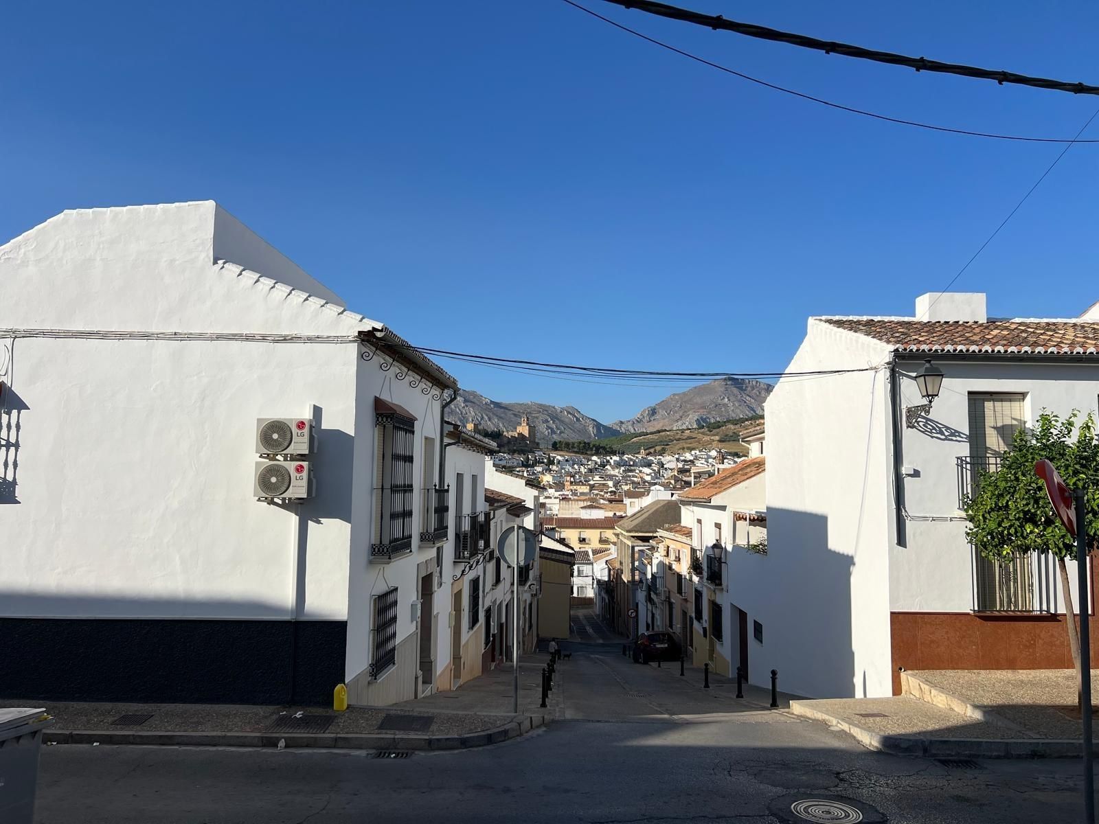 Exterior view of House or chalet for sale in Antequera  with Terrace