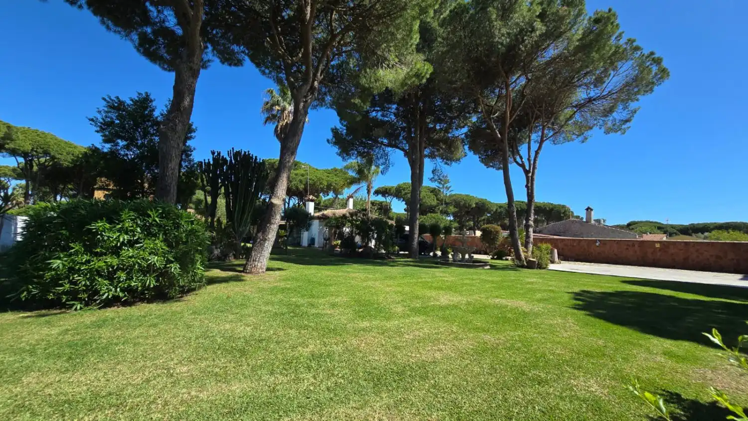 Jardín de Casa o chalet en venta en Chiclana de la Frontera con Terraza y Trastero
