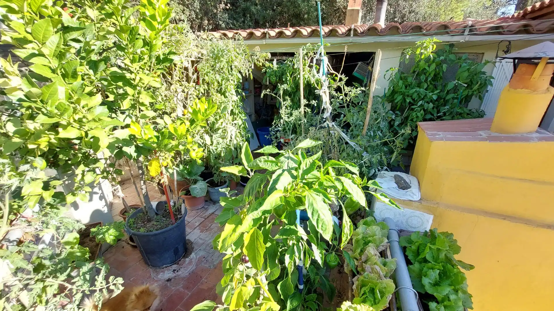 Jardín de Dúplex en venta en L'Estartit con Calefacción y Terraza