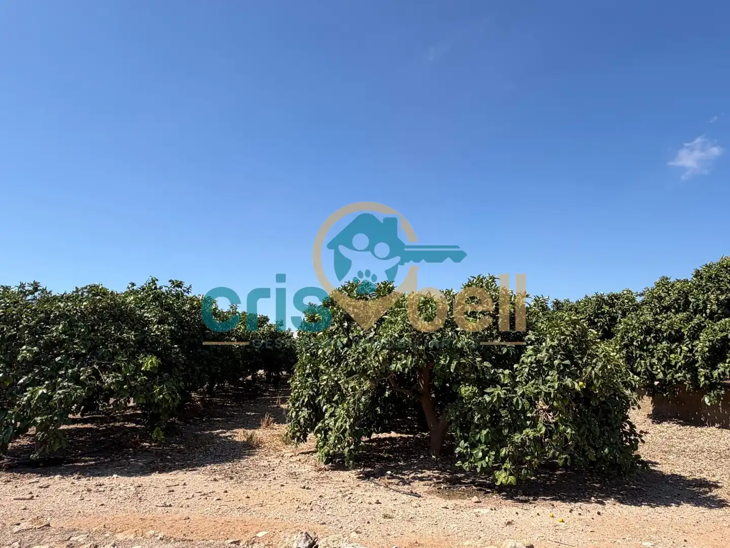 Casa o chalet en venta en Lorca con Aire acondicionado, Calefacción y Jardín privado