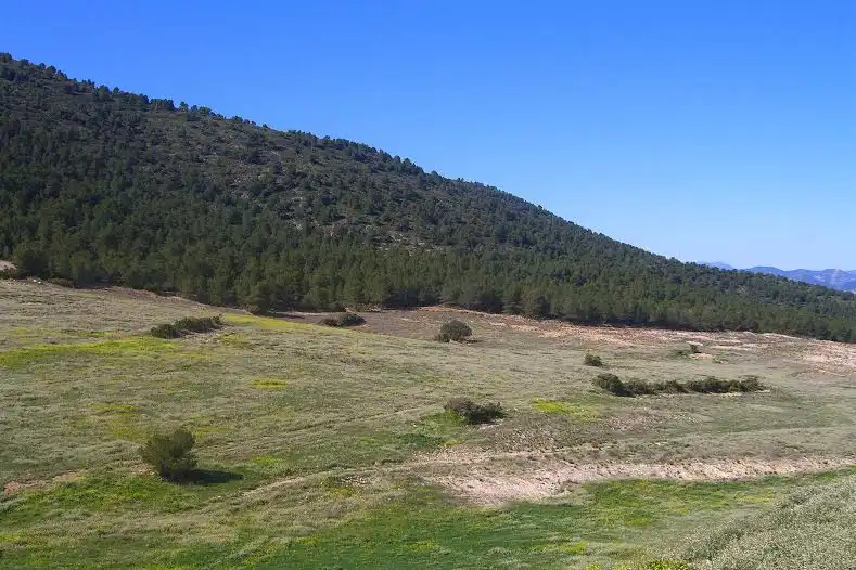Terrenys i solars en venda a Lorca Ciudad, imagen 5