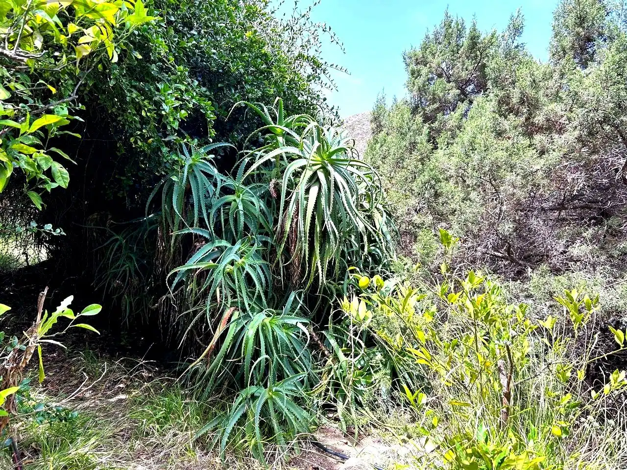 Finca rústica en venta en Vallehermoso con Aire acondicionado, Calefacción y Jardín privado