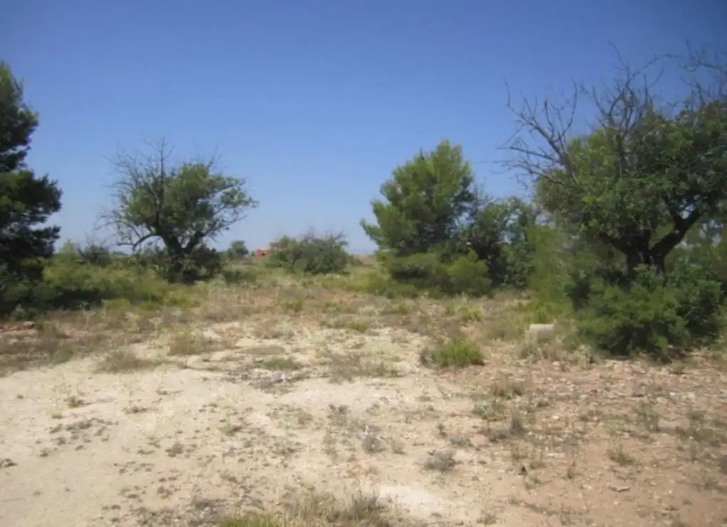 Terrain rustique à vendre à Sra 9 Corral de La Marquesa, imagen 6