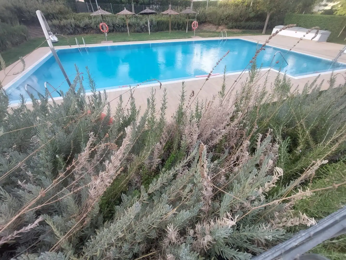 Attico con piscina in vendita a Noroeste, imagen 28