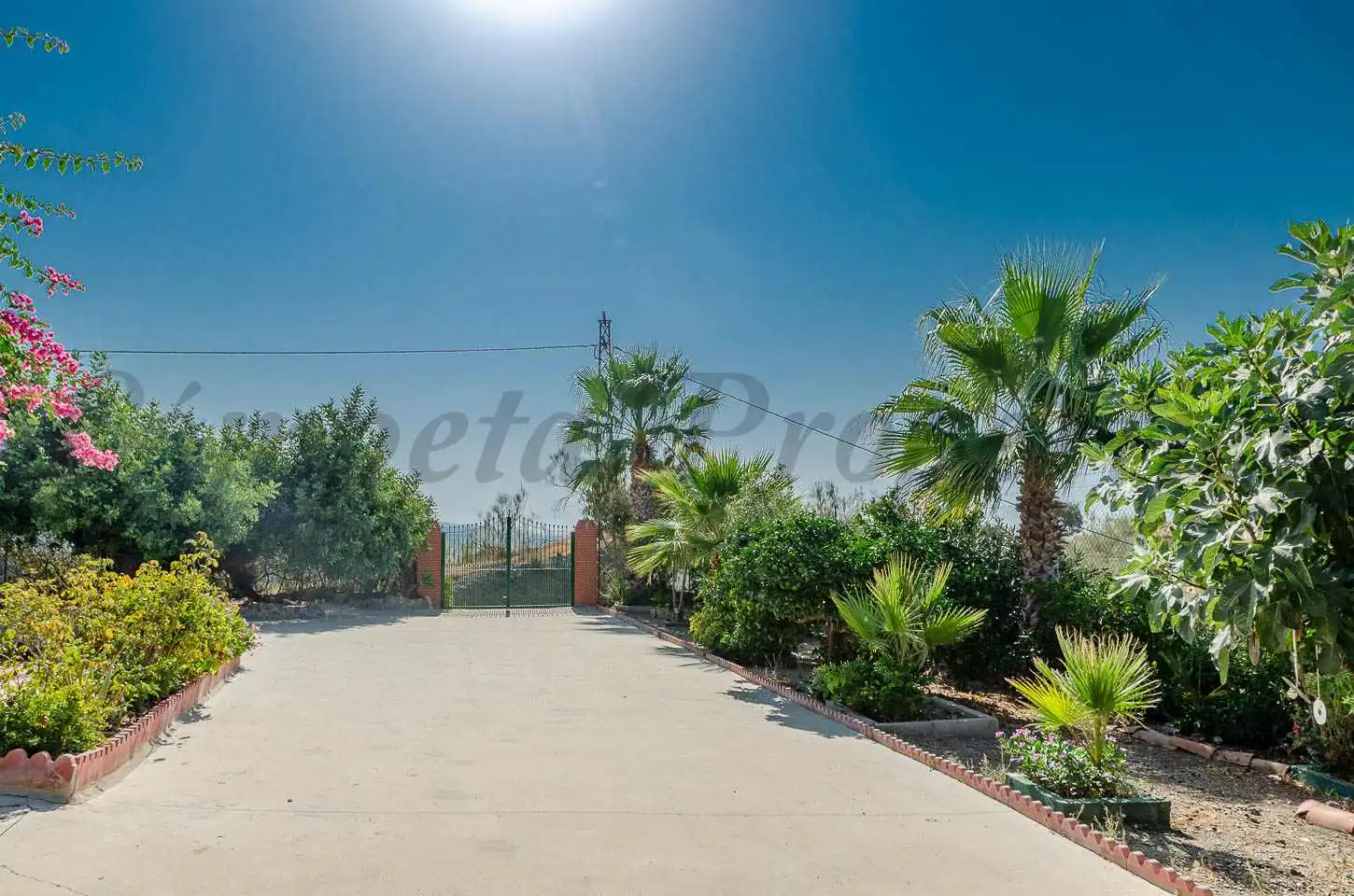 Außenansicht von Country house zum Verkauf in Vélez-Málaga mit Privatgarten, Terrasse und Schwimmbad