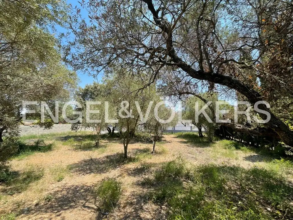 Terreno residencial en venta en Carrer de L'Avellaner, imagen 5