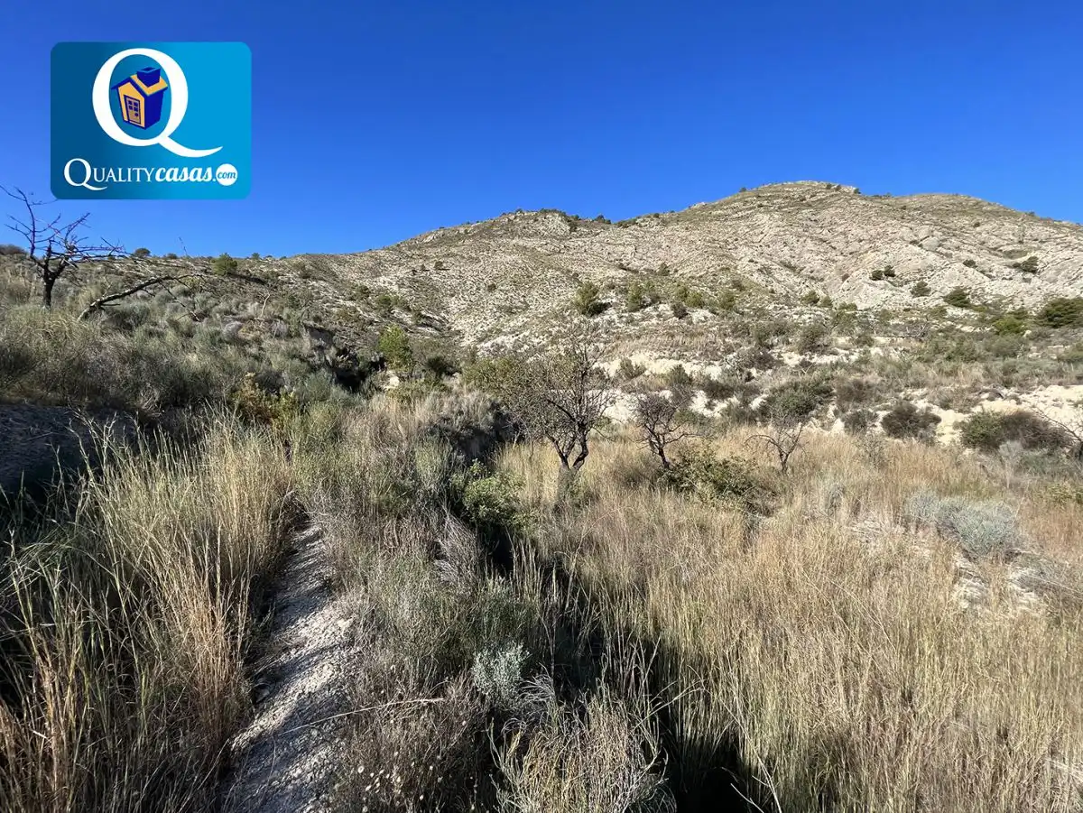Terrenos y solares en venta en Orxeta, imagen 3