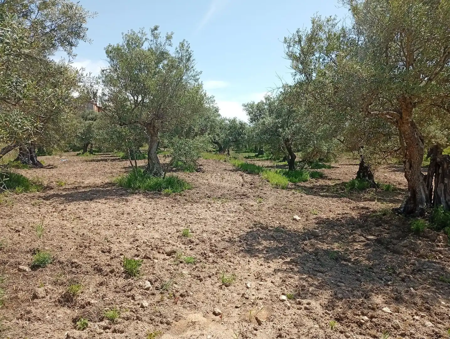 Terreni e lotti in vendita a Villanueva de la Vera, imagen 33