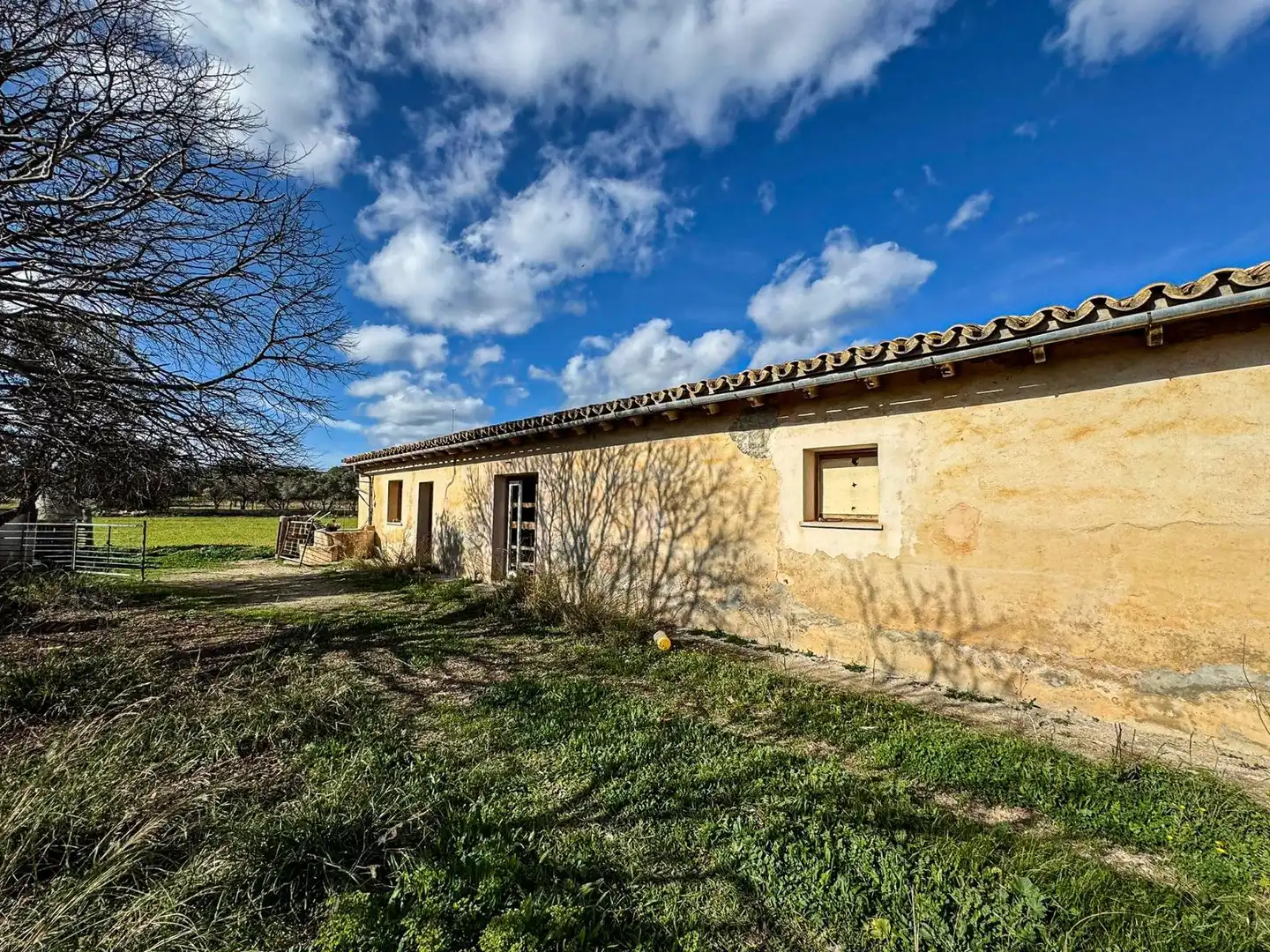 Vista exterior de Terreno industrial en venta en Binissalem