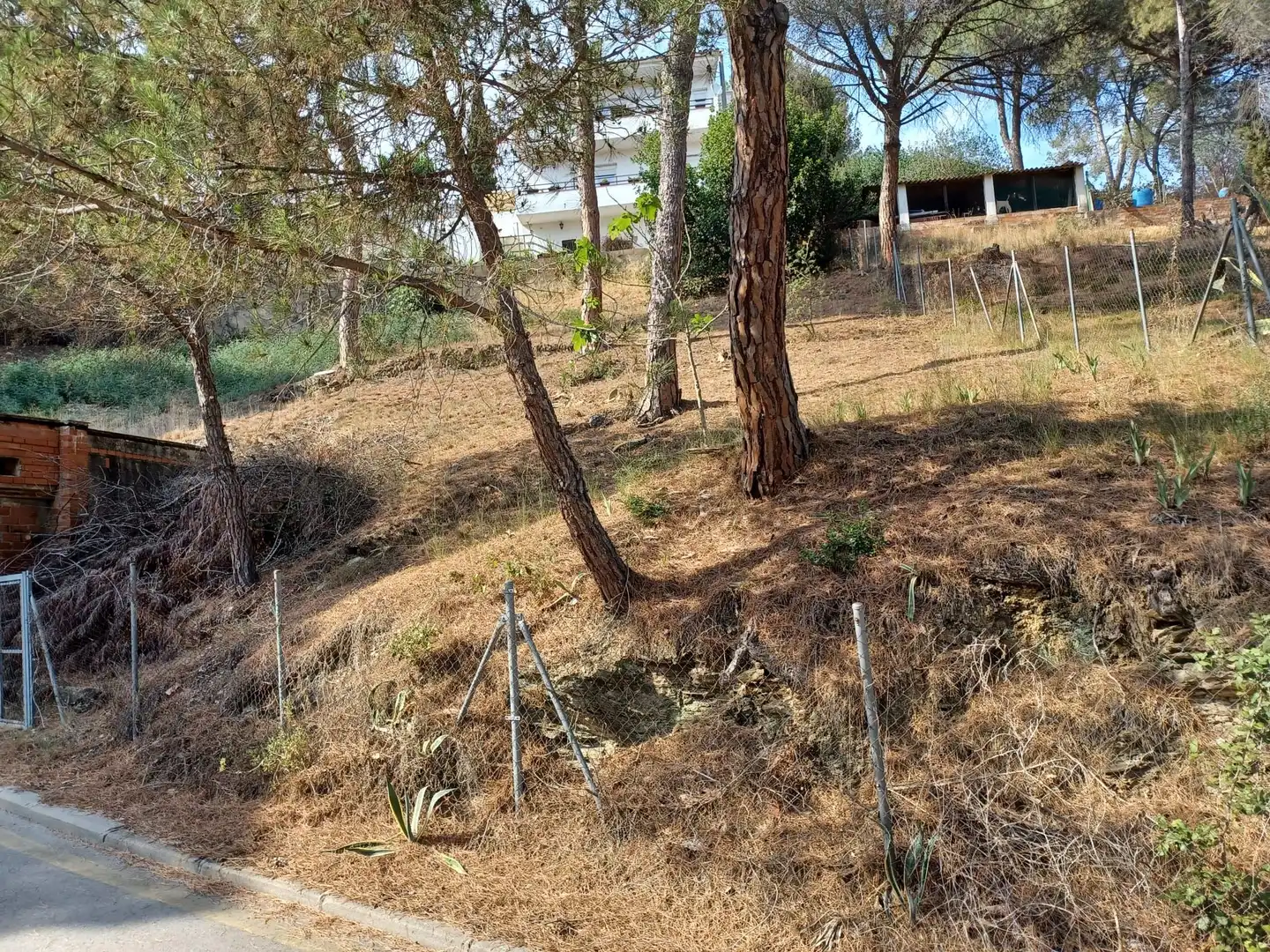 Wohnbaugrundstück zum Verkauf in Castellví de Rosanes
