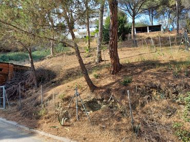 Terreno residenziale in vendita a Castellví de Rosanes