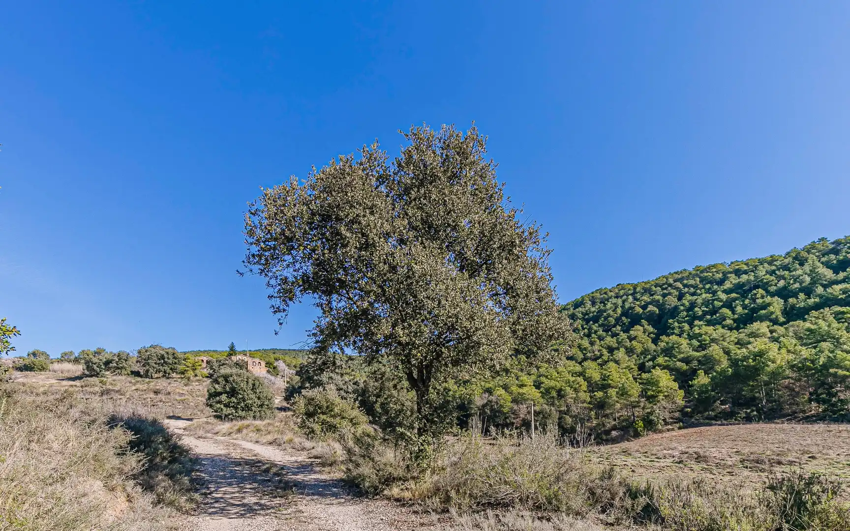 Finca rústica en venta en Navès con Calefacción, Jardín privado y Terraza