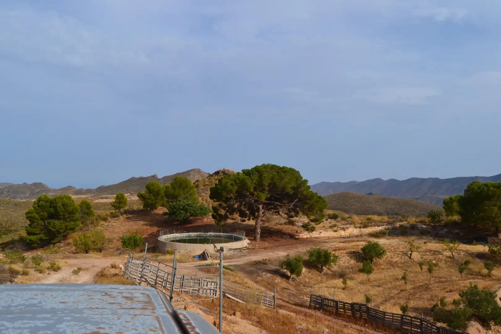 Vista exterior de Finca rústica de lloguer amb opció a compra en Lorca amb Jardí privat